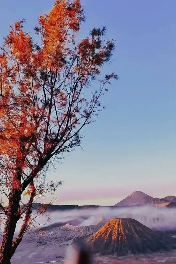 Mount Bromo